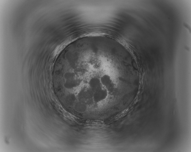 X0000100360337200806061143