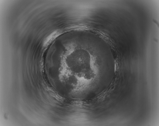 X0000100360339200806061143