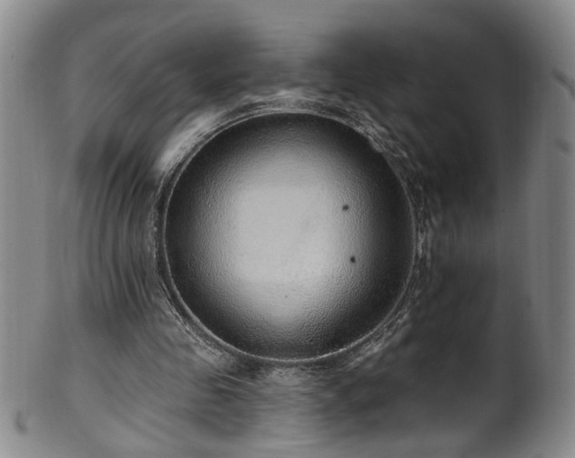 X0000100360341200806061143