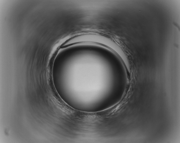 X0000100360342200806061143