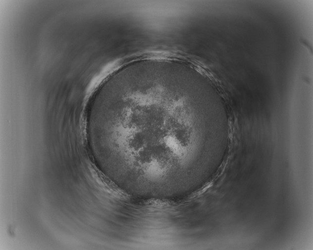 X0000100360343200806061143