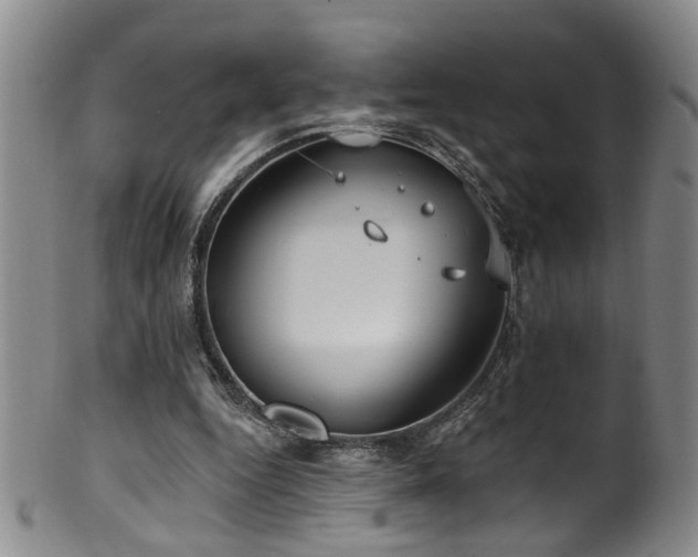 X0000100360344200806061143