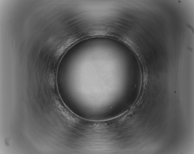 X0000100360345200806061143