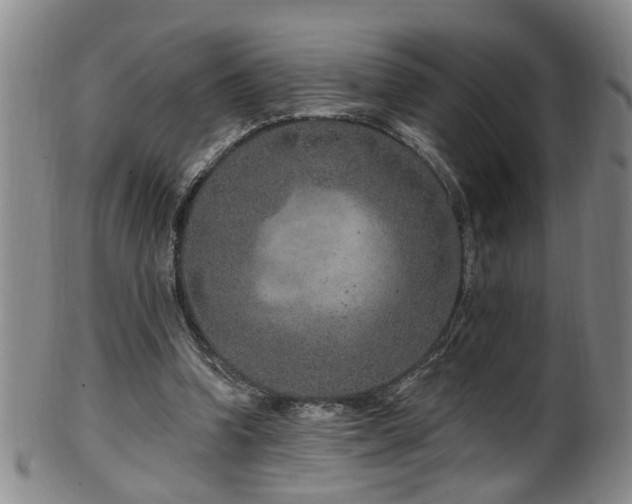 X0000100360346200806061143