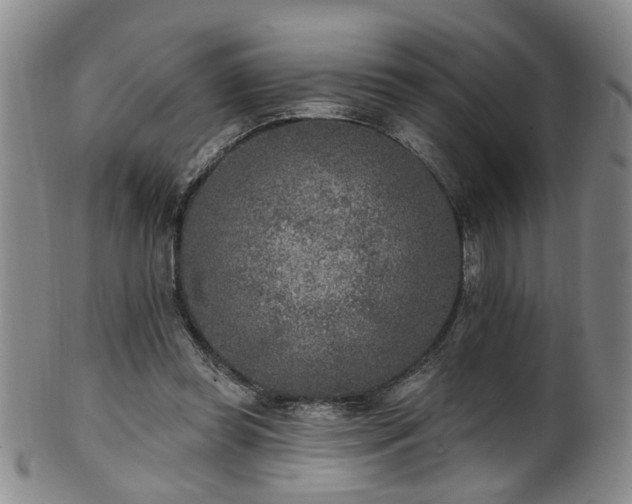 X0000100360349200806061143