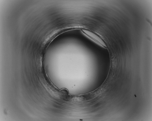 X0000100360350200806061144