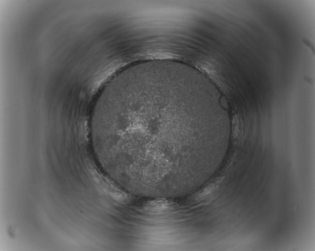 X0000100360351200806061144