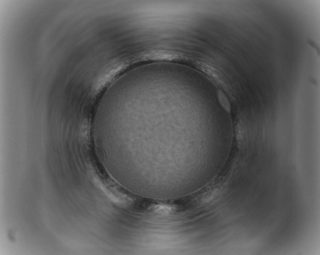 X0000100360352200806061144