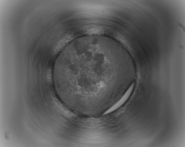 X0000100360353200806061144