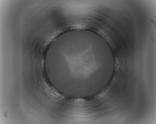 X0000100360355200806061144