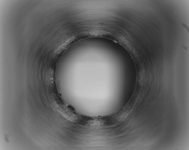 X0000100360356200806061144