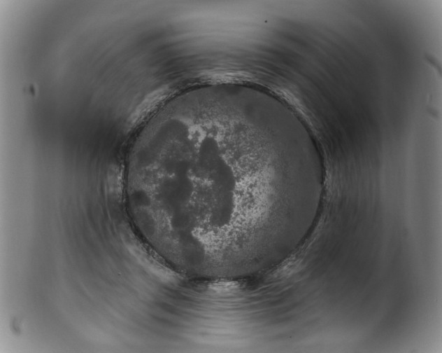 X0000100360357200806061144