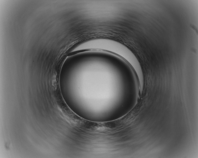 X0000100360360200806061144