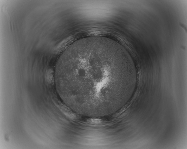 X0000100360361200806061144