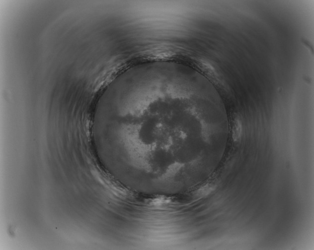 X0000100360366200806061144