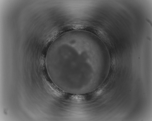 X0000100360367200806061144