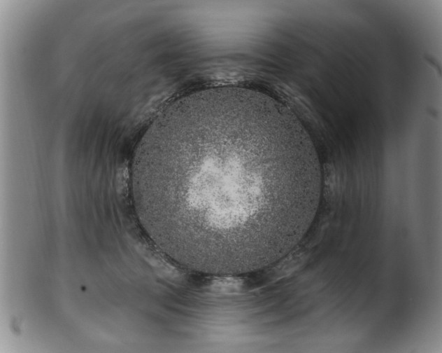 X0000100360369200806061144