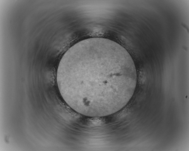 X0000100360370200806061144