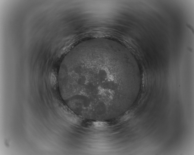 X0000100360371200806061144