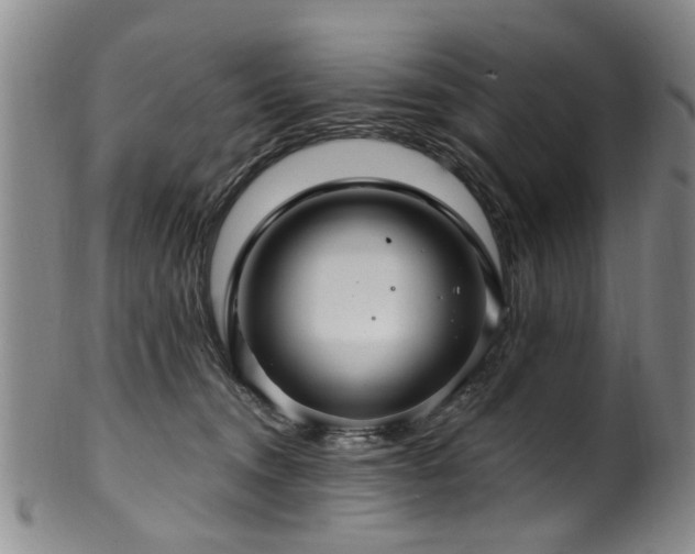 X0000100360372200806061144