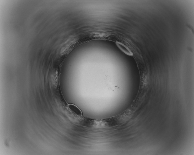 X0000100360376200806061144