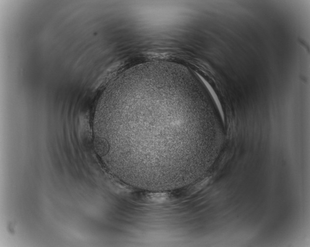 X0000100360377200806061144