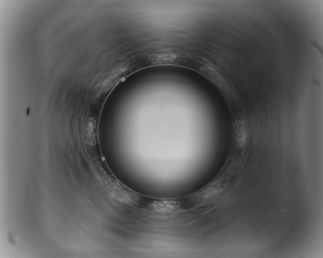 X0000100360378200806061144