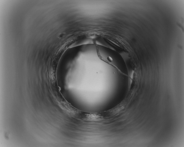 X0000100360380200806061144