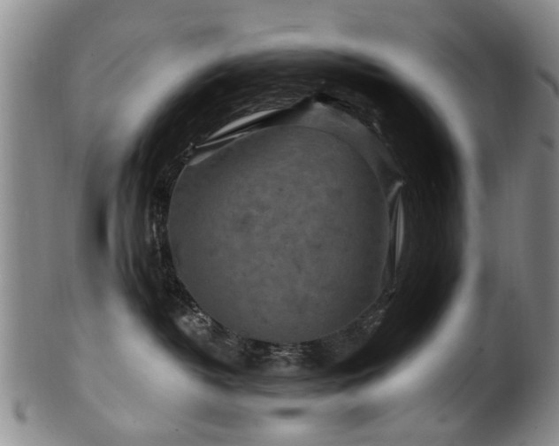 X0000100360382200806061144