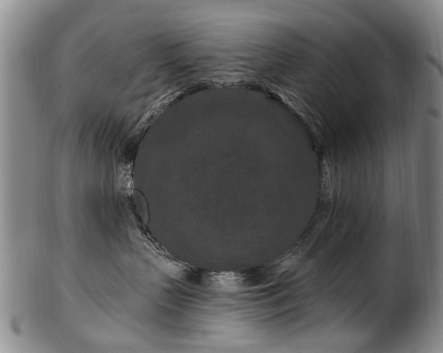 X0000100360383200806061144