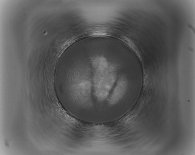 X0000100360385200806061143