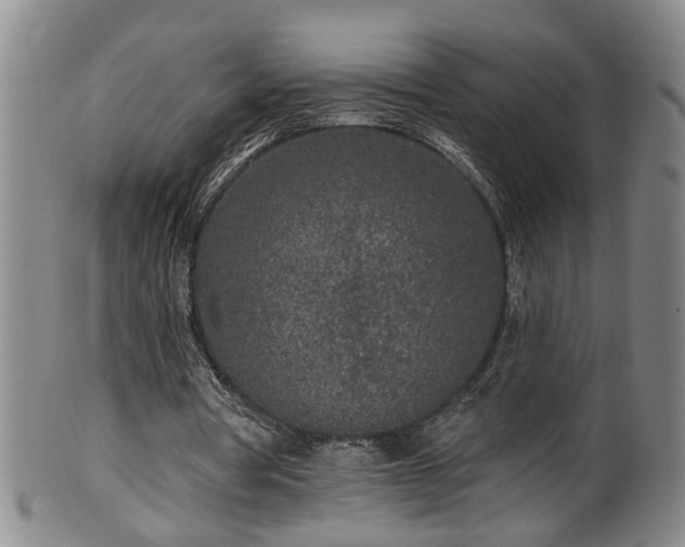 X0000100360386200806061143