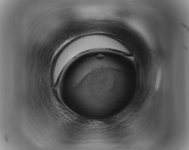 X0000100360387200806061143