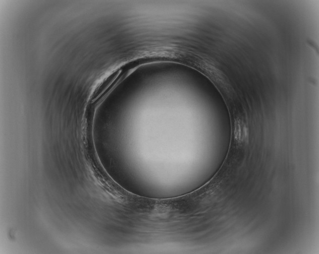 X0000100360388200806061143