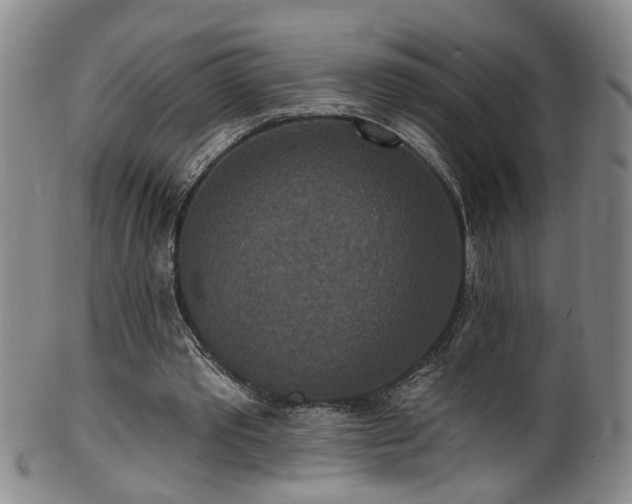 X0000100360389200806061143