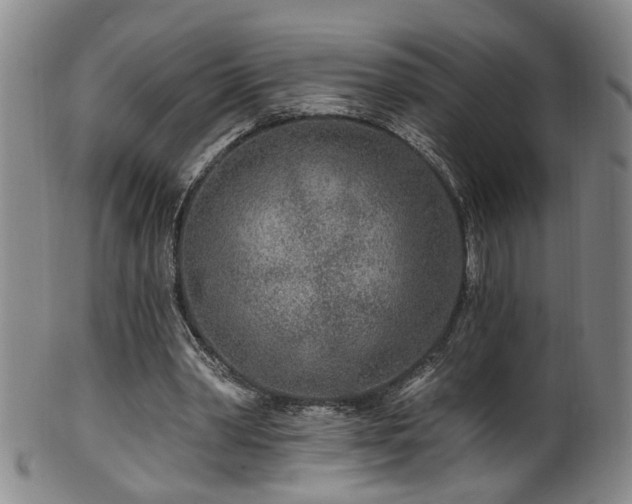 X0000100360390200806061143