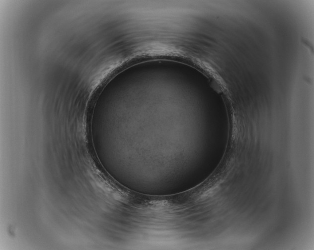 X0000100360391200806061143