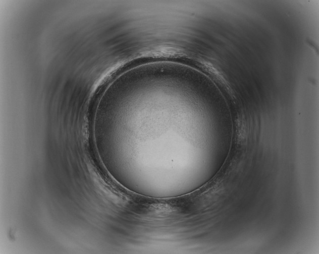 X0000100360392200806061143