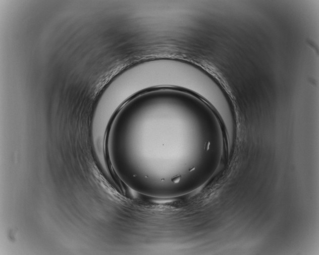 X0000100360393200806061143