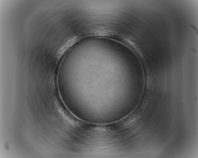 X0000100360394200806061143