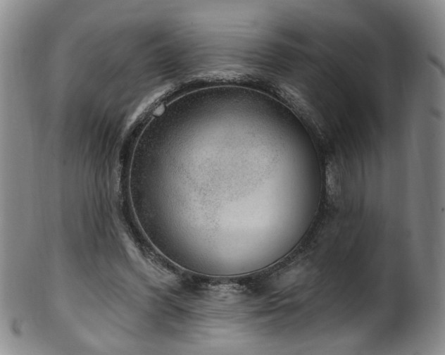 X0000100360396200806061143