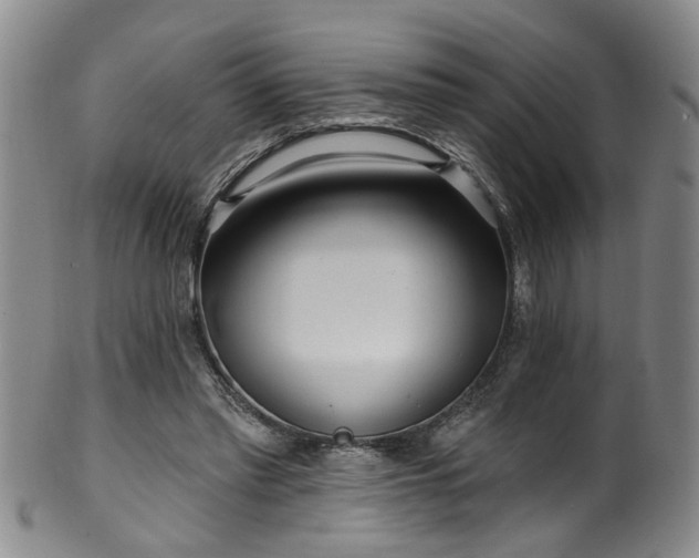 X0000100360397200806061143