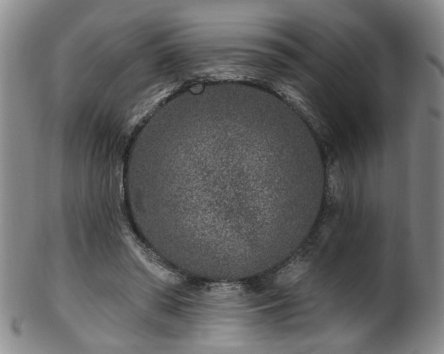 X0000100360398200806061143