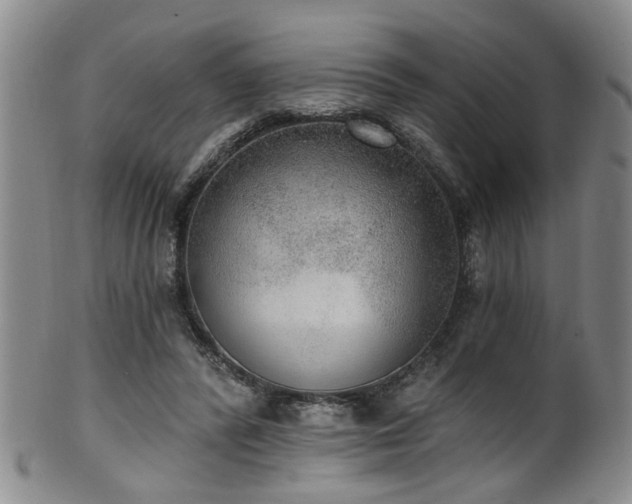 X0000100360400200806061143