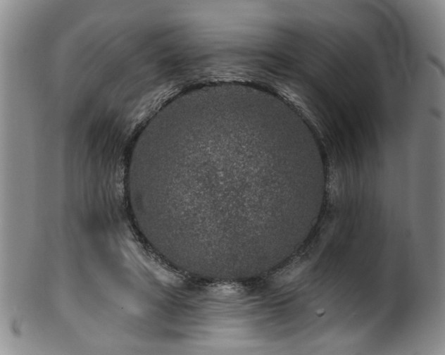 X0000100360402200806061143