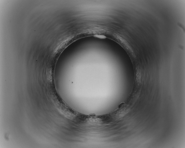 X0000100360403200806061143