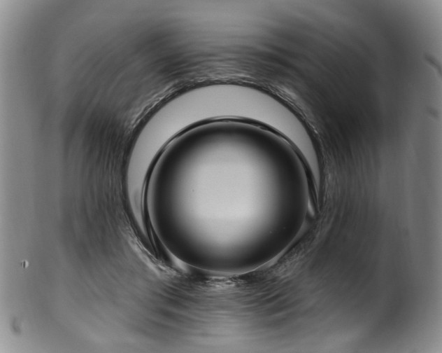 X0000100360405200806061143