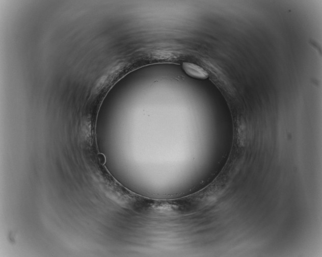 X0000100360407200806061143