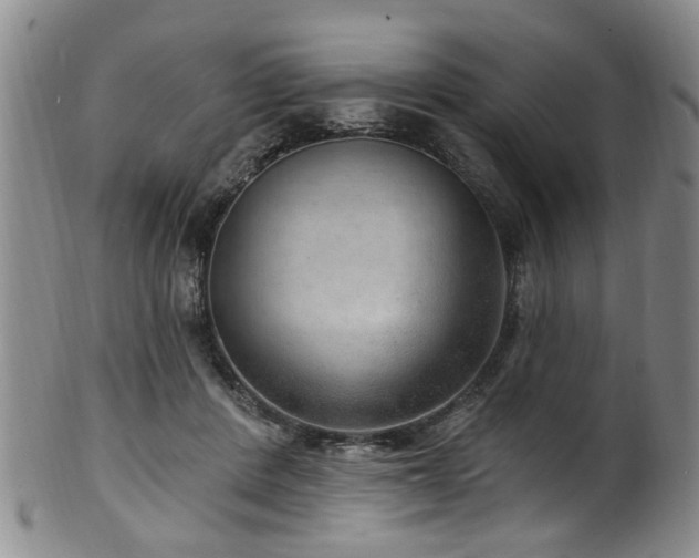 X0000100360408200806061143