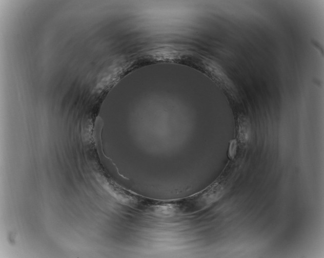 X0000100360411200806061143